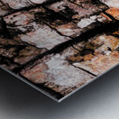 Aussie Gum Tree Bark - 5 Metal print