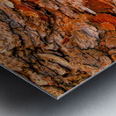 Aussie Gum Tree Bark - 6 Metal print