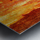 Murray Gum Tree Bark 2 Metal print