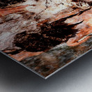 Murray Gum Tree Bark 9 Metal print