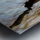 Aussie Gum Tree Bark - 8 Metal print