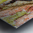 Aussie Gum Tree Bark - 9 Metal print