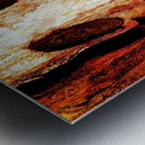 Murray Gum Tree Bark 16 Metal print
