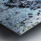 Aussie Gum Tree Bark - 11 Metal print