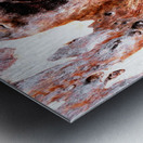 Aussie Gum Tree Bark - 17 Metal print