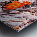 Pine Tree Bark 2 Metal print
