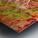 Pink Delight - Ormiston Gorge Metal print