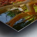 Sandy River - Ormiston Gorge Metal print