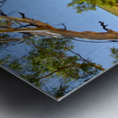 Dry River - Ormiston Gorge Metal print