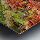 Waterhole - Ormiston Gorge Metal print