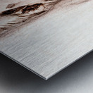 Ghost Gum Bark - 8 Metal print