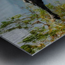 Lurking Metal print
