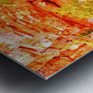 Growing in the Rocks - Ormiston Gorge Metal print