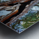 Burnt Out Metal print