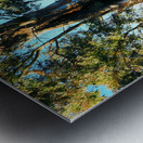 Endurance - Cazneaux Tree Metal print
