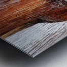 Aussie Alpine Tree Bark 2 Metal print