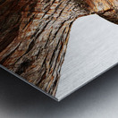 Aussie Alpine Tree Bark 3 Metal print