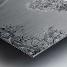 Burnt Ghost Gum - BW Metal print