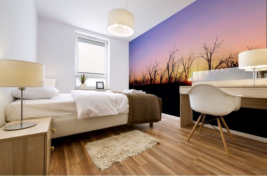 Sunset Silhouette Mural print