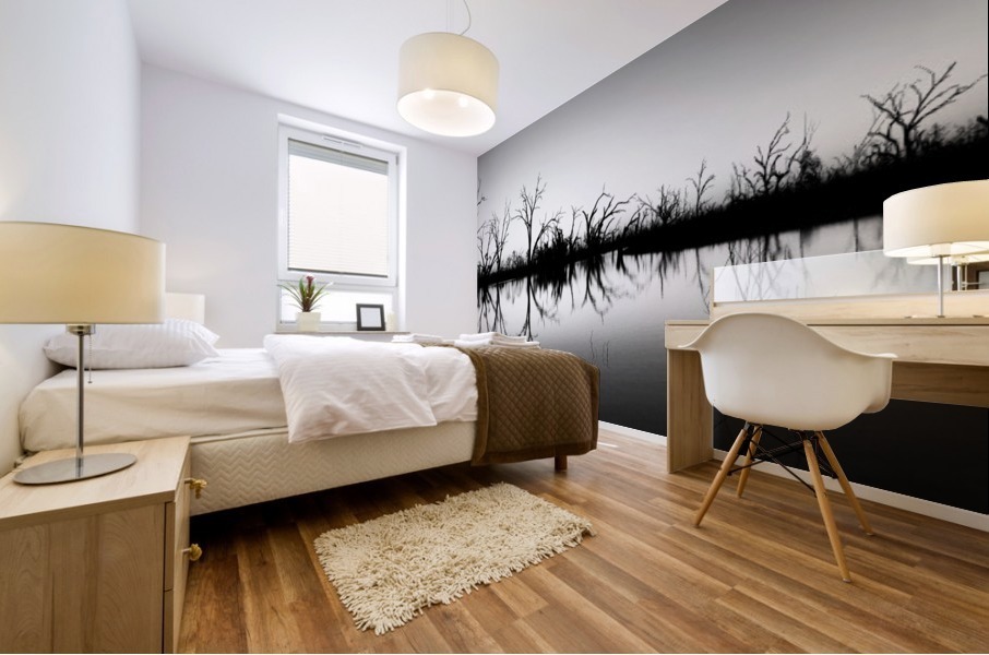 B W Lake Sunset Mural print