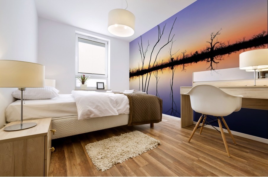 Sunset Reflections Mural print