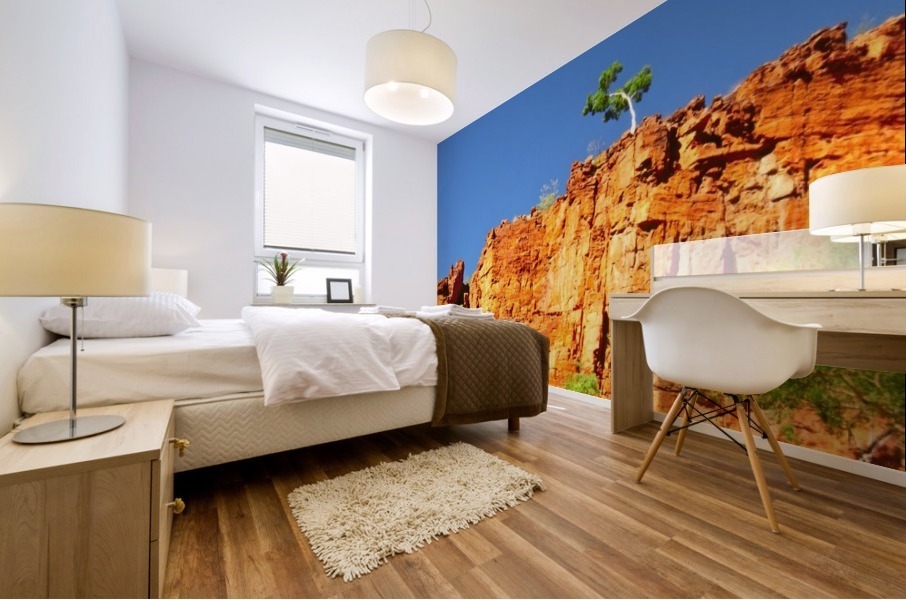 Lone Ghost Gum Tree Mural print