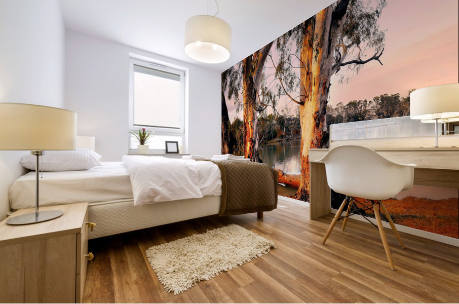 Murray River Gums Mural print
