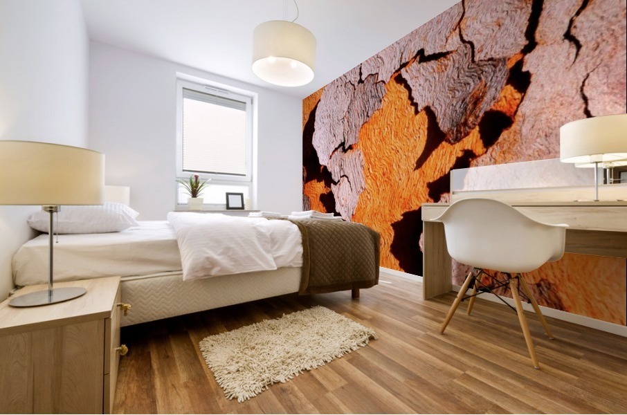 Salmon Bark Peeling 2 Mural print