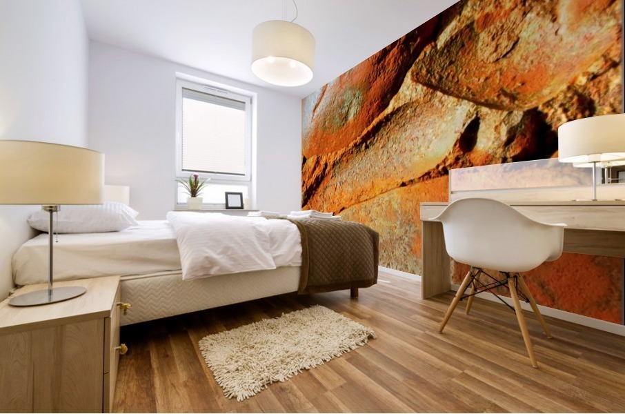 Australia Rocks - Abstract 21 Mural print