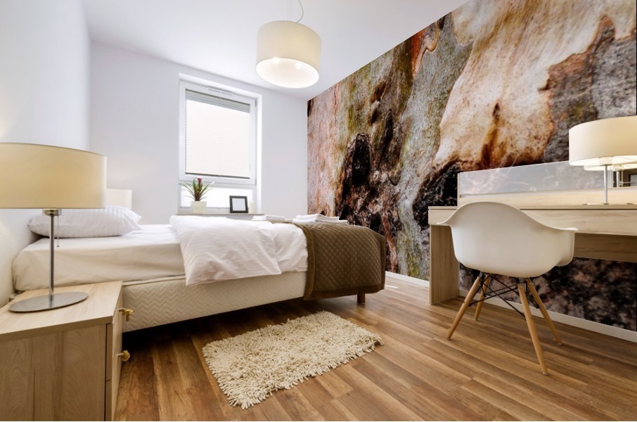 Ghost Gum Bark - 3 Mural print