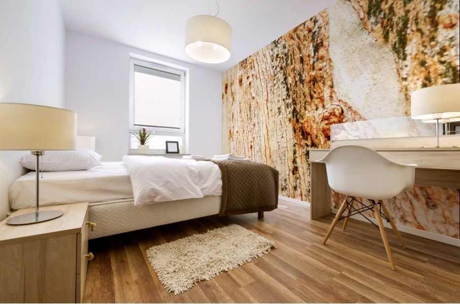 Aussie Gum Tree Bark - 1 Mural print