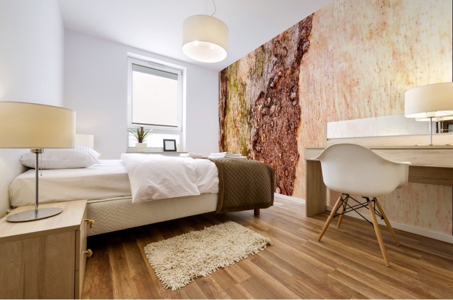 Aussie Gum Tree Bark - 3 Mural print