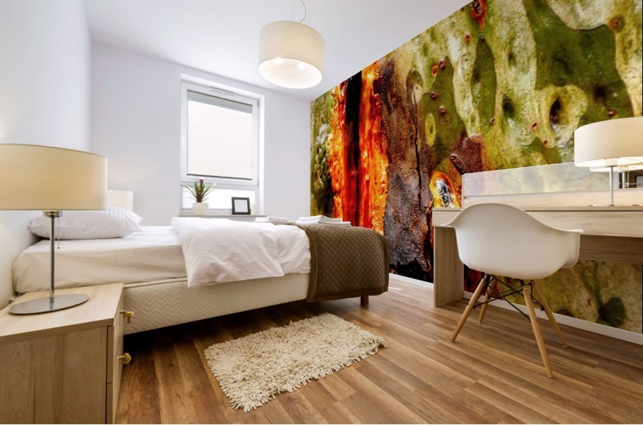 Aussie Gum Tree Bark - 11 Mural print