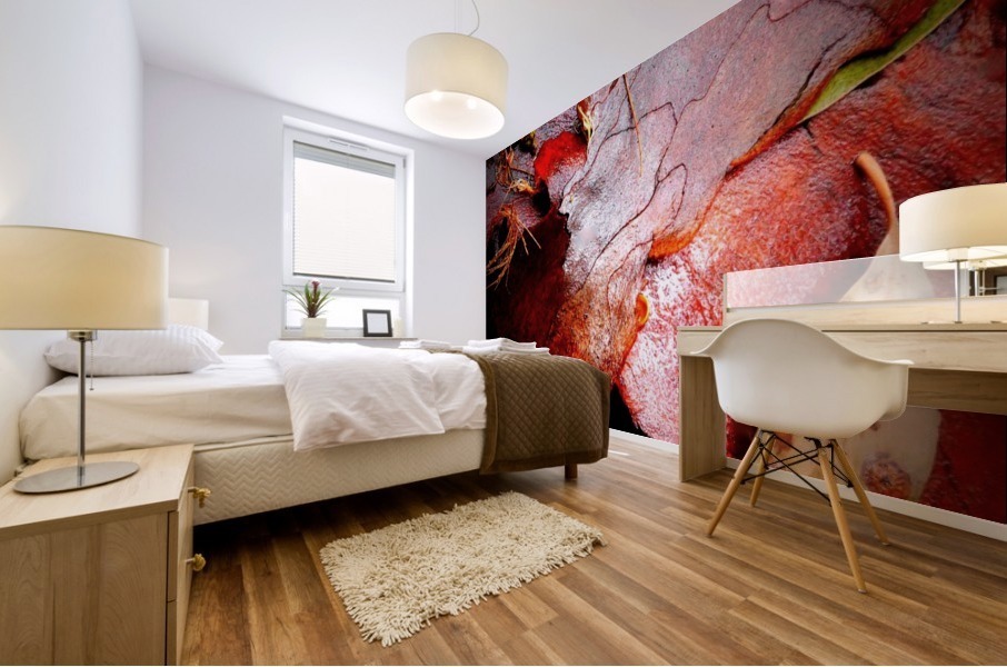 Aussie Gum Tree Bark - 10 Mural print