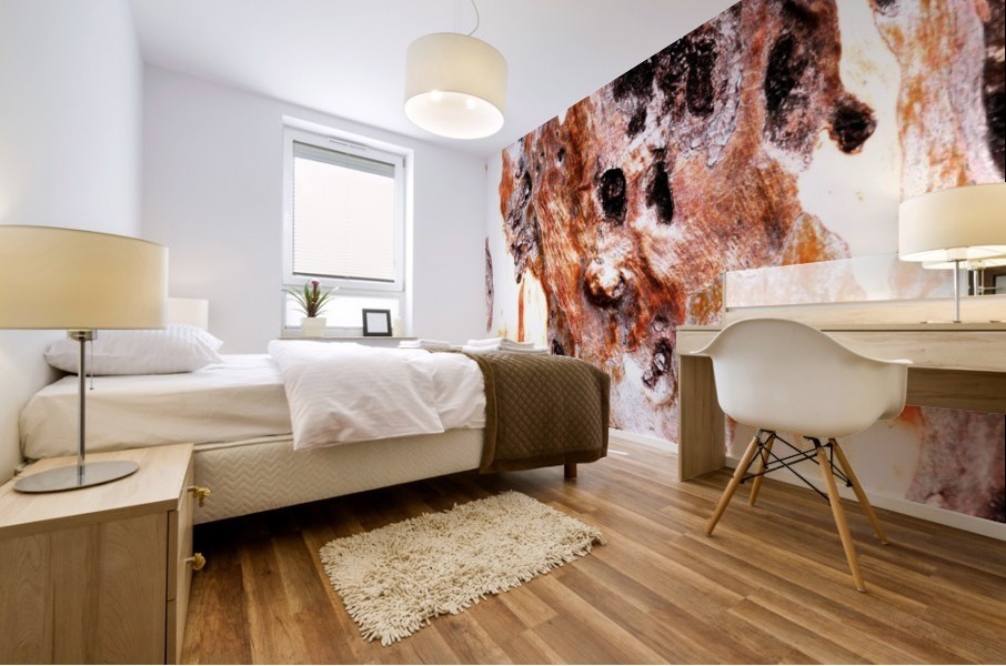 Aussie Gum Tree Bark - 17 Mural print