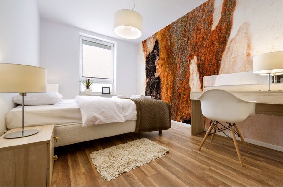 Aussie Gum Tree Bark - 23 Mural print