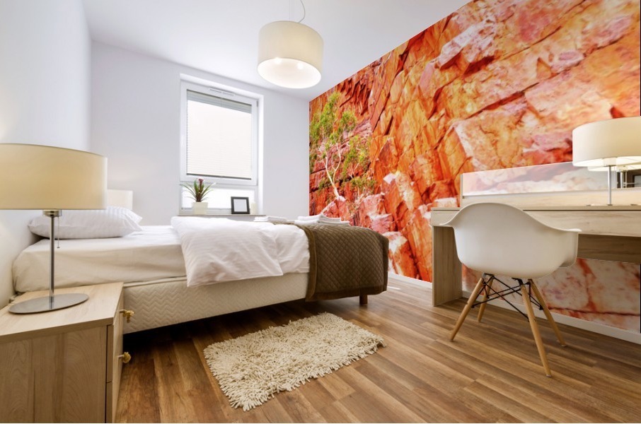 Pink Delight - Ormiston Gorge Mural print