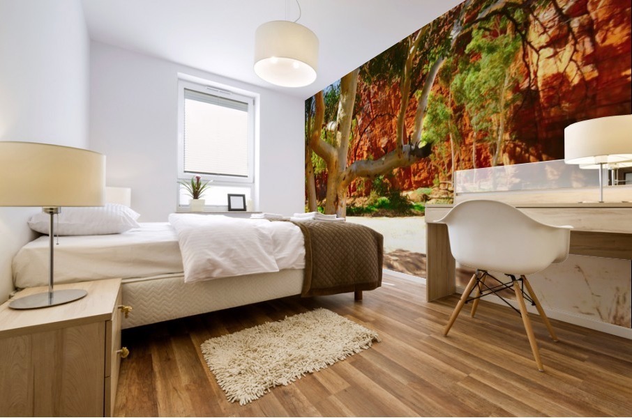 Sandy River - Ormiston Gorge Mural print