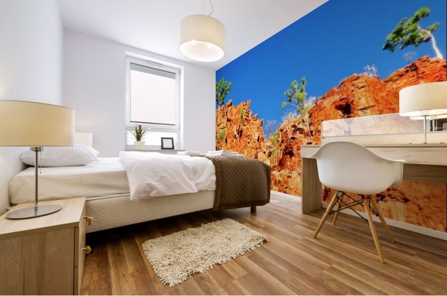Skyline - Ormiston Gorge Mural print