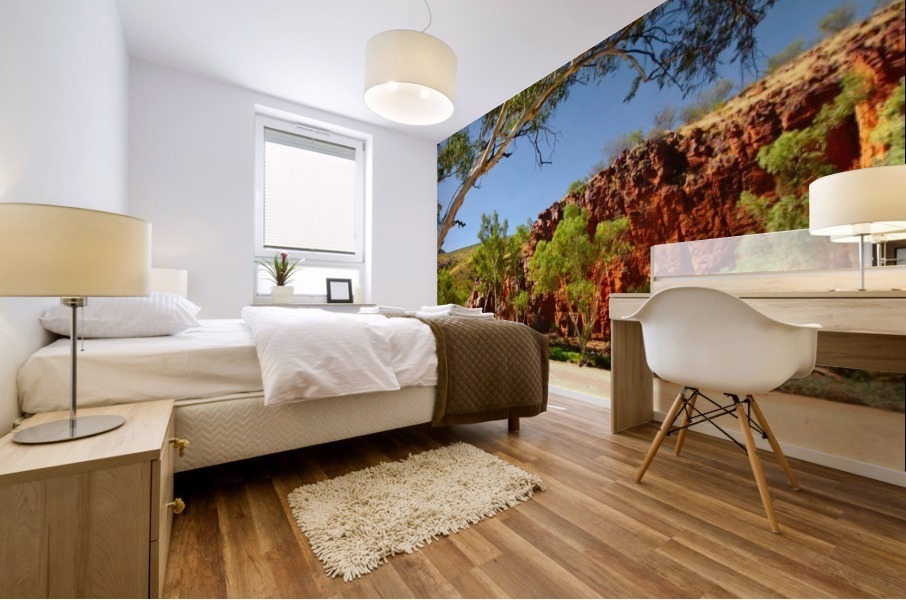 Dry River - Ormiston Gorge Mural print