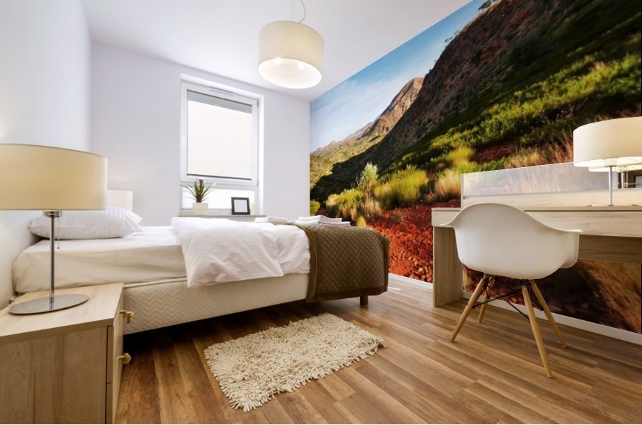 Pound Track - Ormiston Gorge Mural print