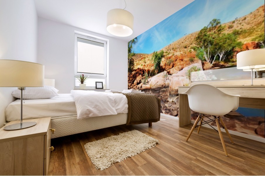 By the River - Ormiston Gorge Mural print