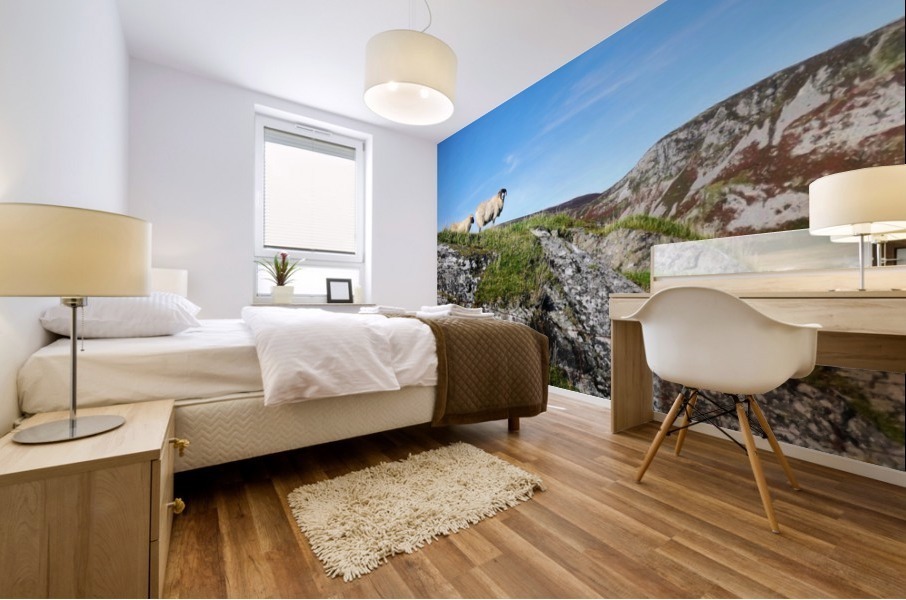 Looking to Beefan Mountain Mural print