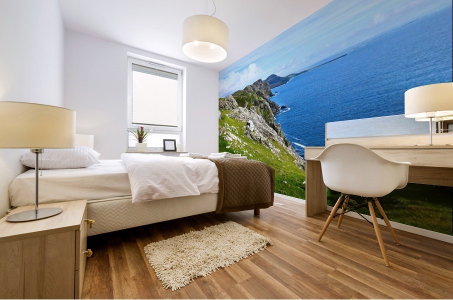 Donegal Coastline Mural print