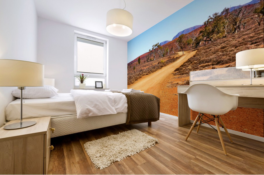 Track in the Outback Mural print