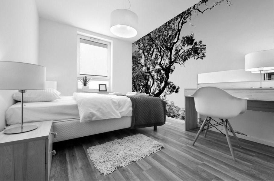 Old Gum Tree BW Mural print