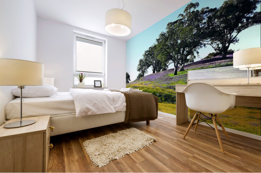 Barossa Valley in Spring Mural print