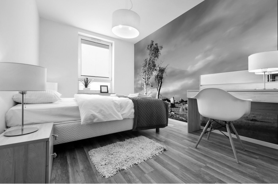 Storm Breaking - BW Mural print