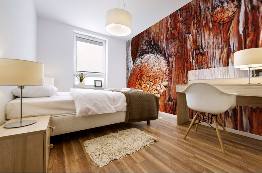 Aussie Alpine Tree Bark 2 Mural print