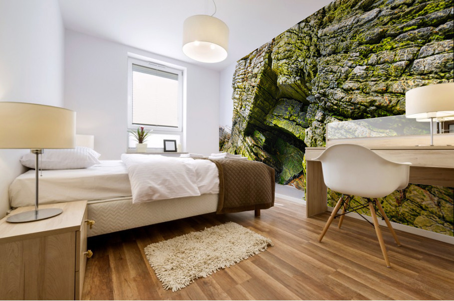 Magera Beach - Rock Formations 2 Mural print